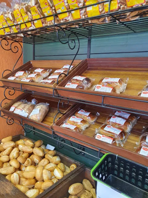 VicPani » Desembargador