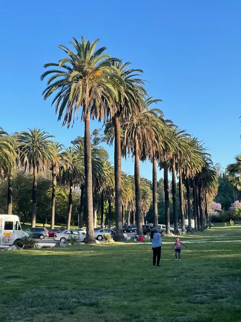 Elysian Park Picnic Site #4