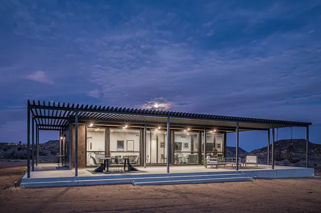 Interstellar Joshua Tree