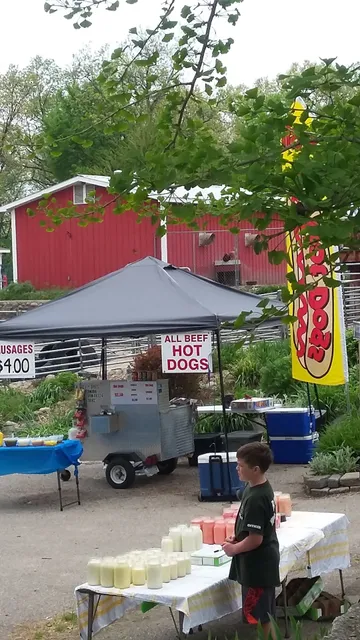 All City Dogs Inc.