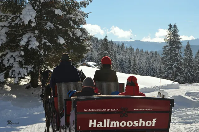 Hallmooshof - Pferdekutschenfahrten