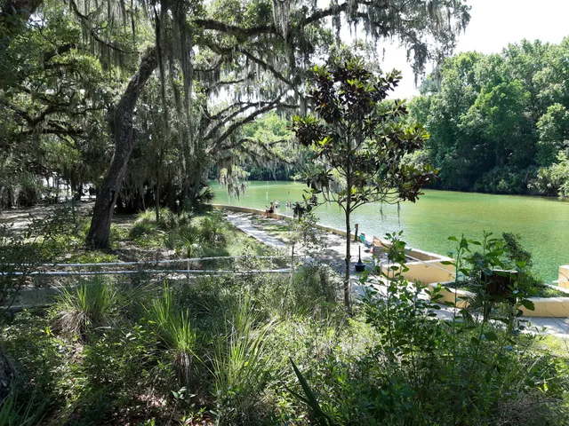 Salt Springs Recreation Area
