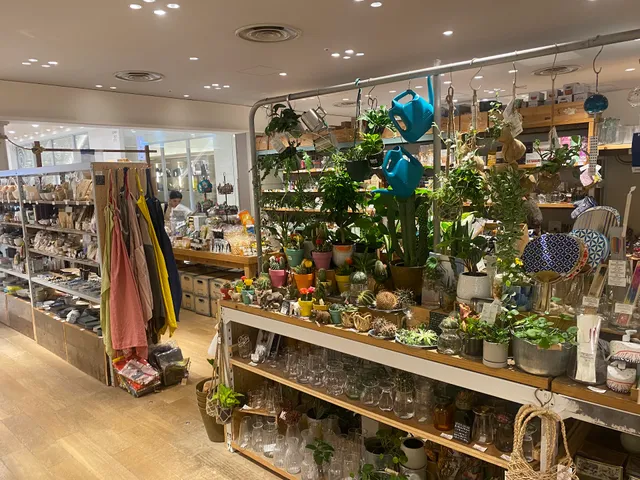 TODAY'S SPECIAL Shibuya