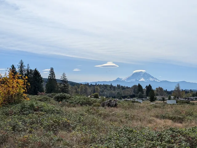 Diamond Square - Black Diamond