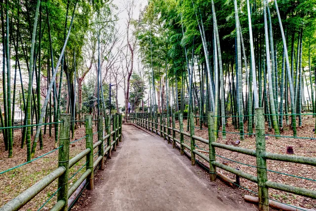 Suzume-no-oyado Ryokuchi Park