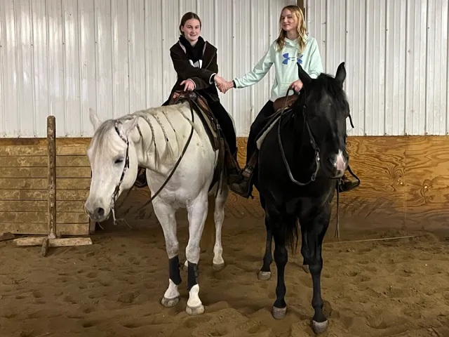 Buckle Performance Horses