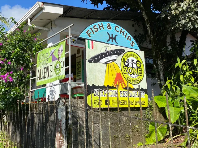 Los Platillos Voladores