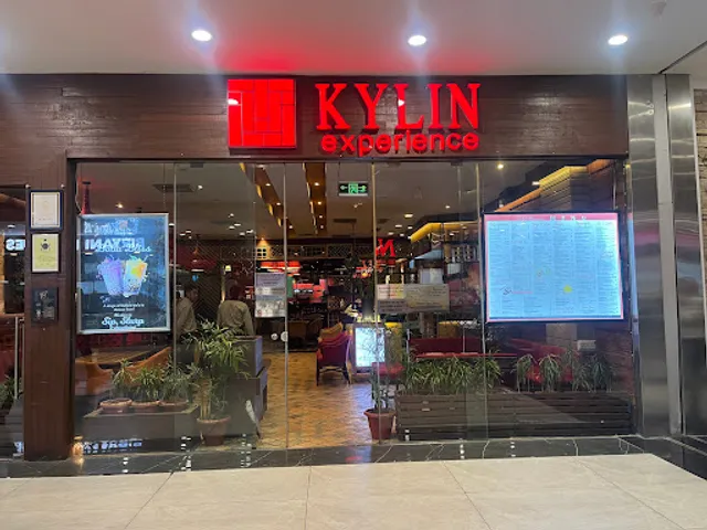 Kylin Experience