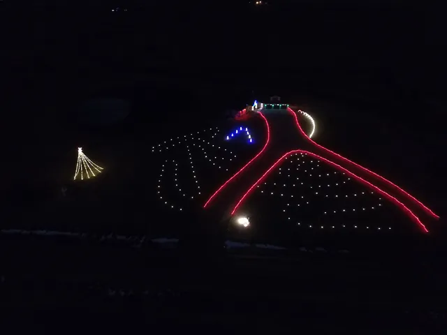 Williams Family Christmas light Show