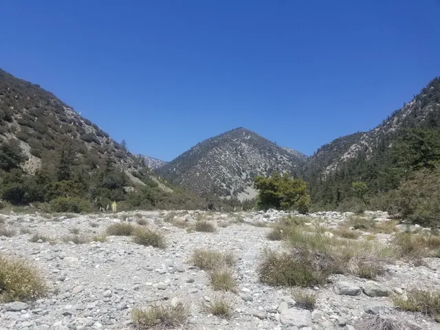 Mt. Baldy Wayside Picnic Site