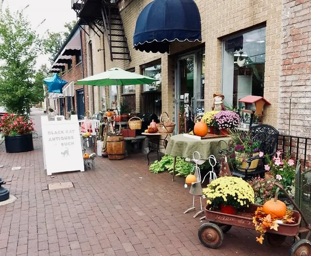 Black Cat Antiques & Such