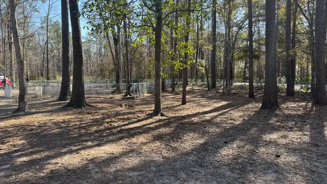 Tom Triplett Dog Park