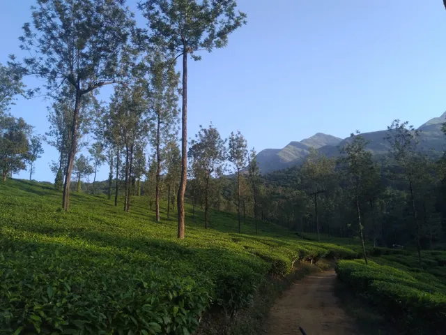 Mountain Valley and Glendale Wayanad