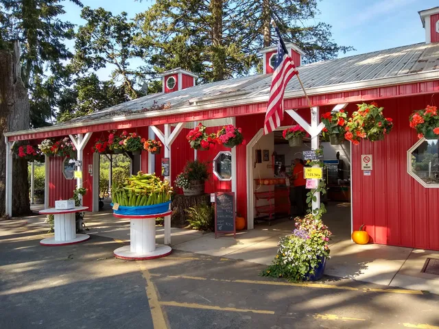 Bush's Fern View Farms