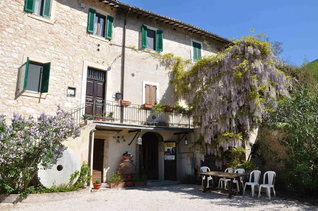 Antico Frantoio Petesse