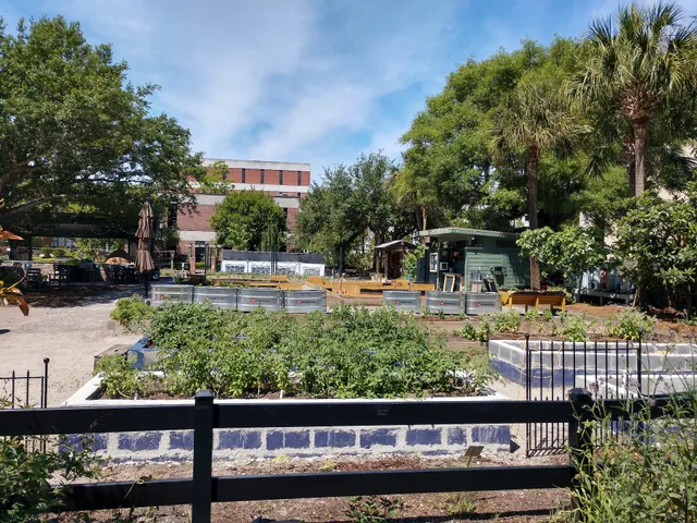 MUSC Urban Farm (Pocket Urban Farms)