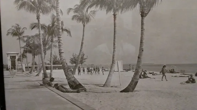 Friends of the Sarasota County History Center