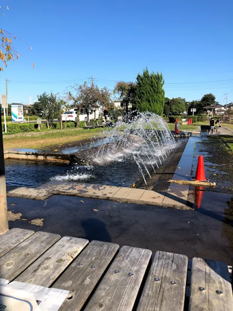 荒川総合運動公園通り