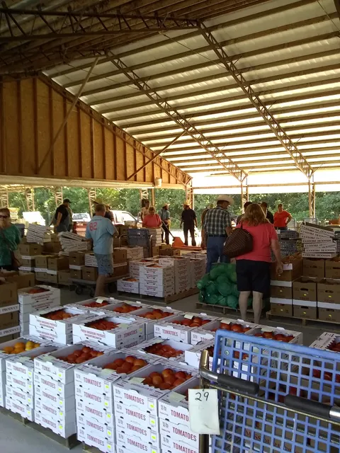 C Hwy Produce Auction