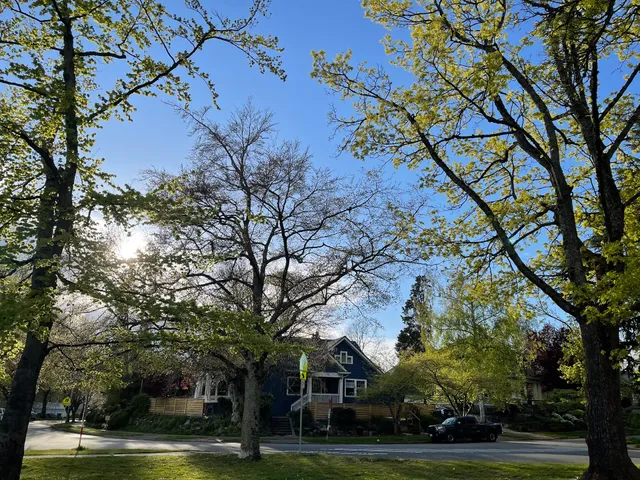 Mount Baker Boulevard