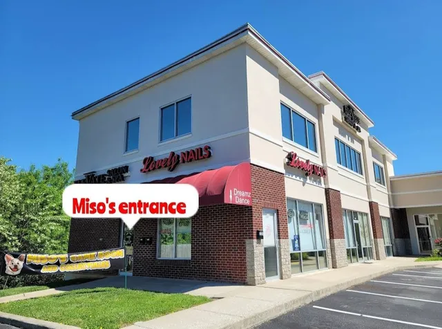 Miso's Game Room and Collectibles