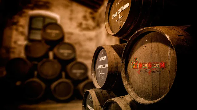 Bodegas Cayetano del Pino. Vinos de Jerez. D.O. Jerez - Xérès - Sherry