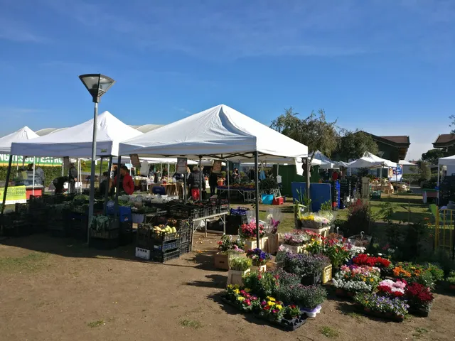 Mercato Contadino Infernetto