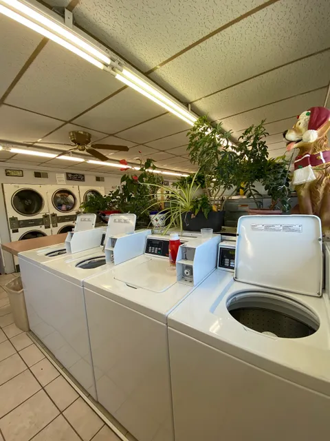 Roscommon Cleaners & Laundry