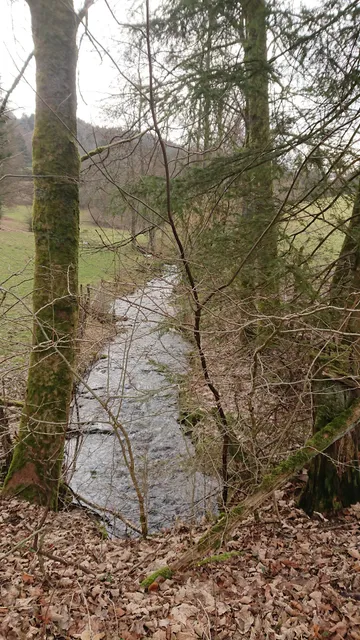 Gottschlich Apartment Schmallenberg