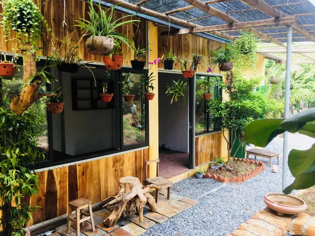 Elephant’s House - Đường Lâm homestay