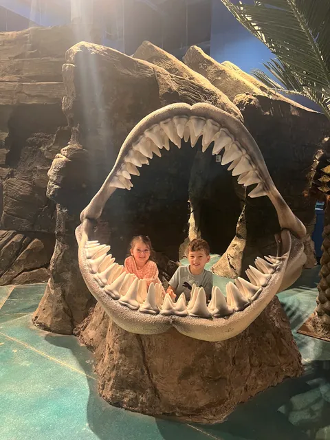 Blue Zoo Aquarium Des Moines