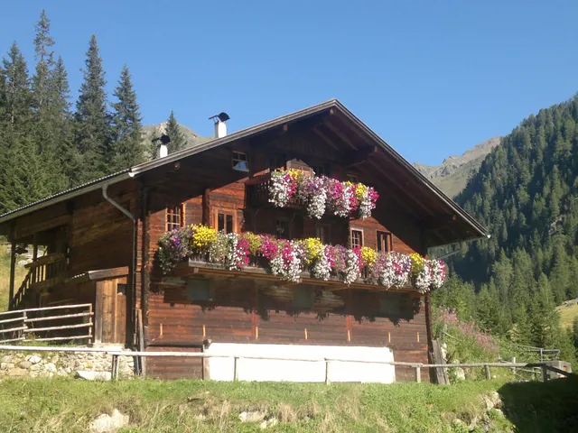 Gallfallalm