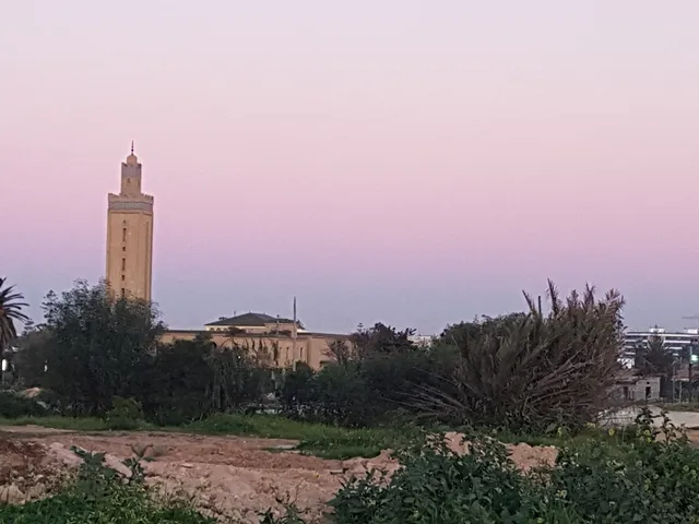 Source Ait Ali : Restaurant, Boucherie & Grilladerie