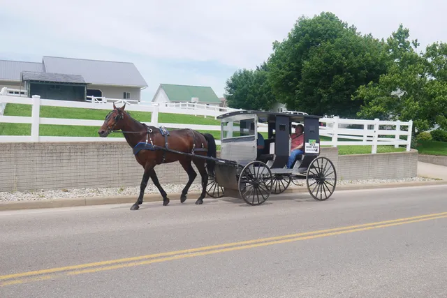 Mel's Horse Buggy Rides