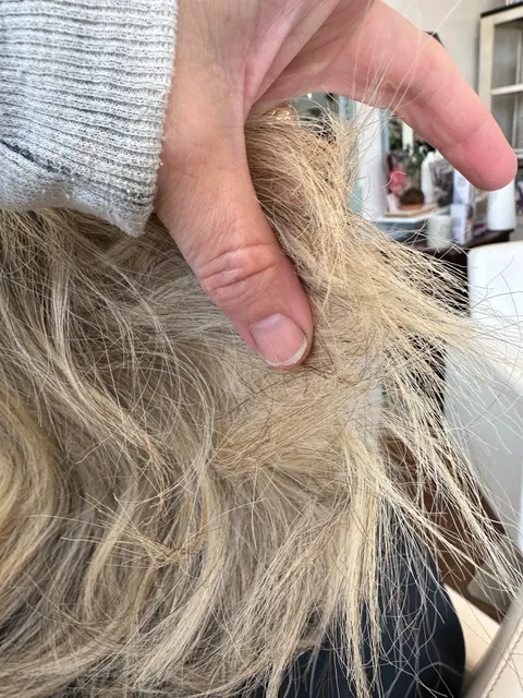 Summerville Sweet Tea Hair Studio/Spa