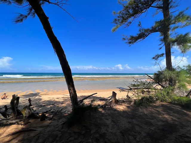 Playa Torrecillas Pinones