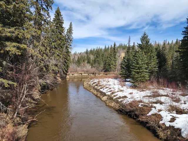 Whitemud Park South Trail
