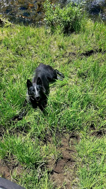 Double Cabin Campground