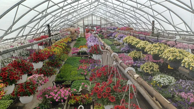 Harbaughs Farm Greenhouse & Produce