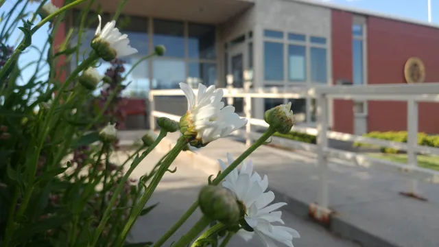Grangeville Centennial Library