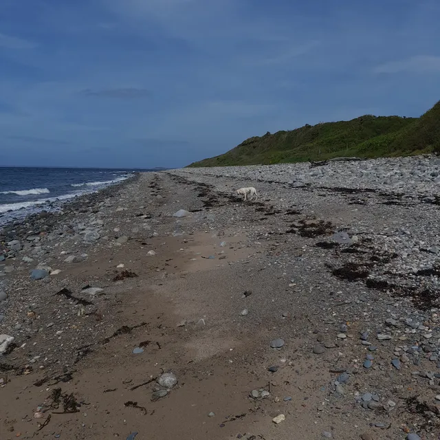 Bach Wen Farm & Cottages