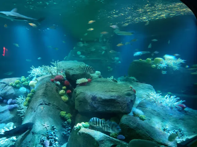 New York Aquarium Education Hall