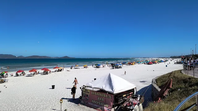 Cabo frio RJjacare
