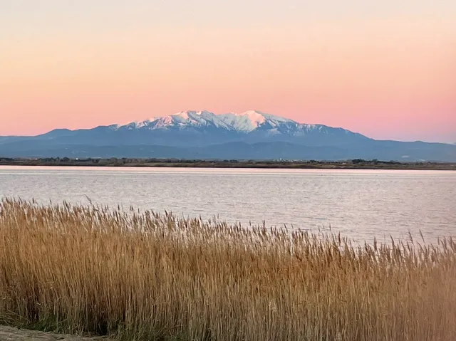 Mas Des Fleurs, Perpignan