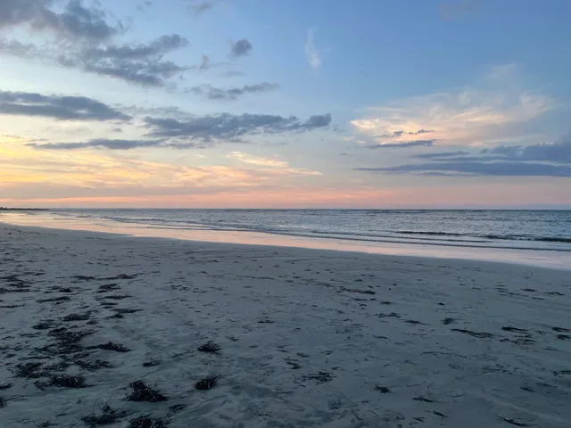 Sardinera Dorado Beach East