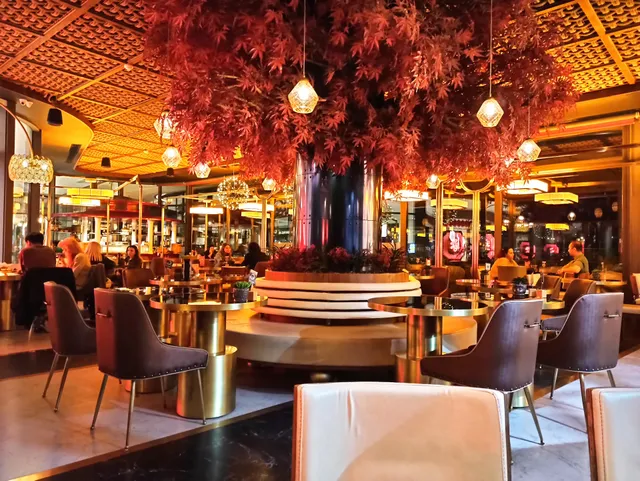 Quick China Kuzu Effect