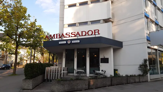 Ambassador