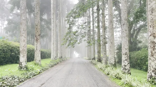 Aburi Garden Entrance