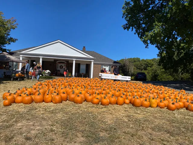 Boyd's Pumpkin Patch and Corn Maze