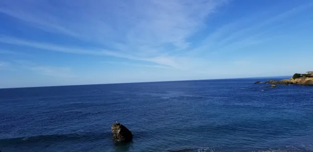 Sea Ranch Escape Vacation Rentals